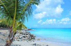 La Martinique : un petit coin de paradis pour les amateurs de soleil et de farniente !