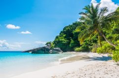 Quelle île du Cap-Vert est faite pour vous ?