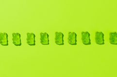 L’univers des bonbons verts : ces petites douceurs qui font plaisir à chaque bouchée