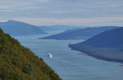Croisiériste : comment faire sa sélection de croisière ?