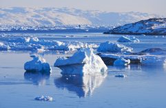 L'antarctique : l'expérience unique d'une expédition au Pôle Sud