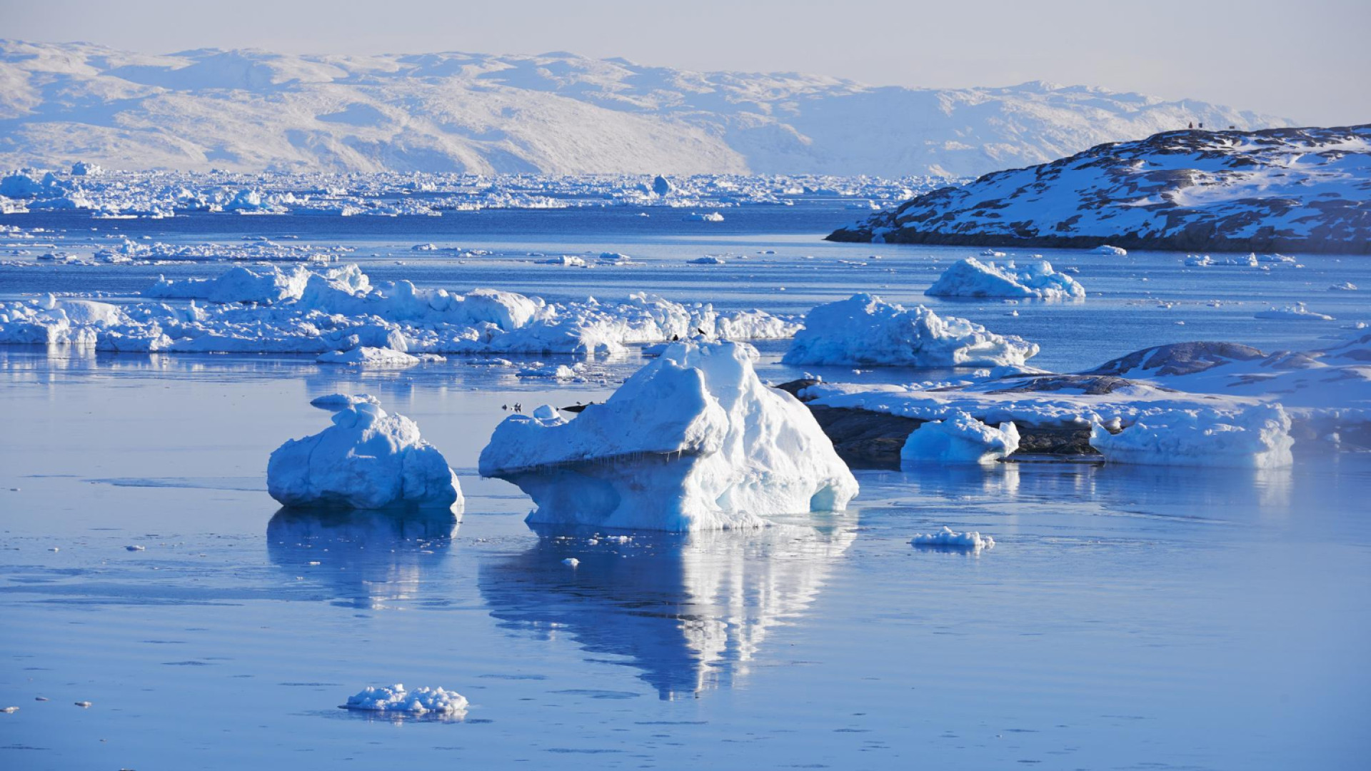 L'antarctique : l'expérience unique d'une expédition au Pôle Sud