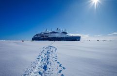 Pourquoi une croisière en antarctique est l'expérience unique à vivre avant tout ?
