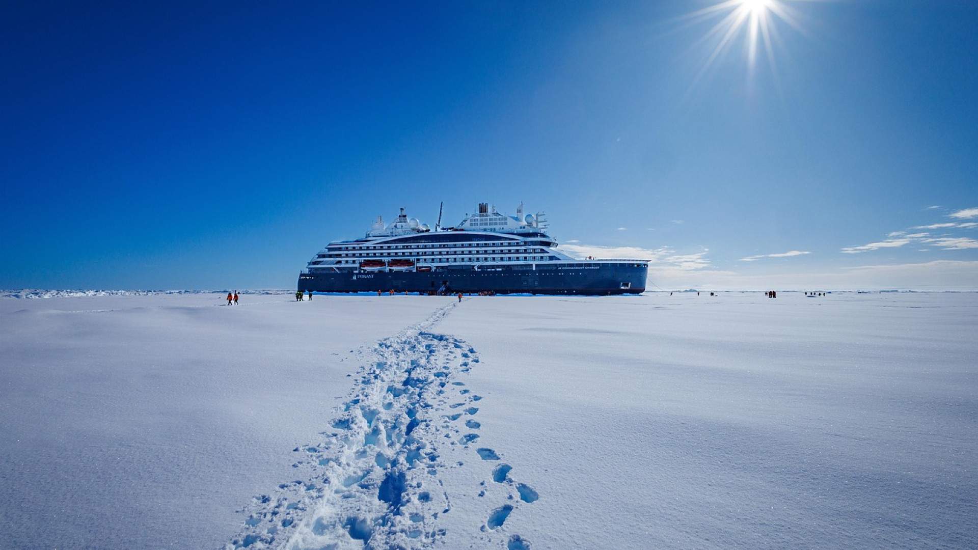 Pourquoi une croisière en antarctique est l'expérience unique à vivre avant tout ?