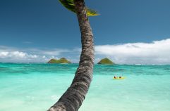 Quelle est la meilleure façon de découvrir Tahiti ?