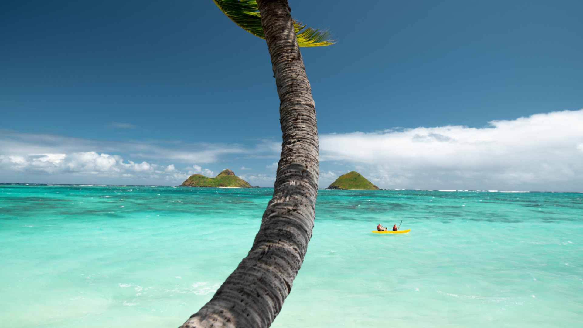 Quelle est la meilleure façon de découvrir Tahiti ?