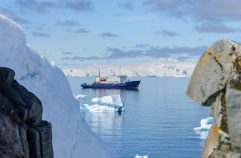 Vivre une croisière en Antarctique : entre aventure et luxe sur le continent blanc !
