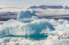 Croisière en antarctique : guide complet pour organiser votre expédition polaire