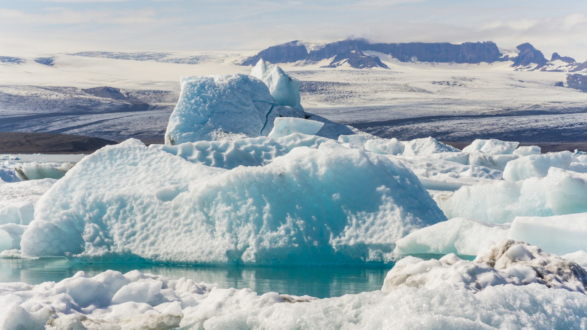 Croisière en antarctique : guide complet pour organiser votre expédition polaire