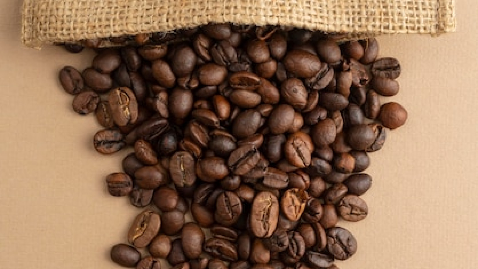 Découvrez le goût unique du café artisanal suisse !